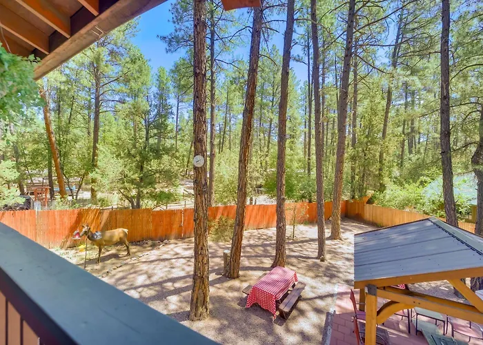 Relax Fireside + Play Games! Hiker's Haven In Pine